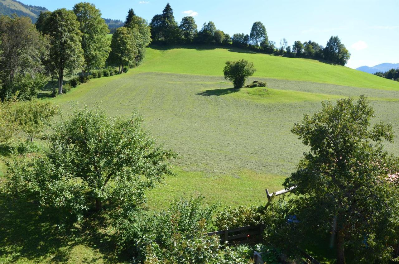 Pension Woetzinghof Kirchberg in Tirol Kültér fotó