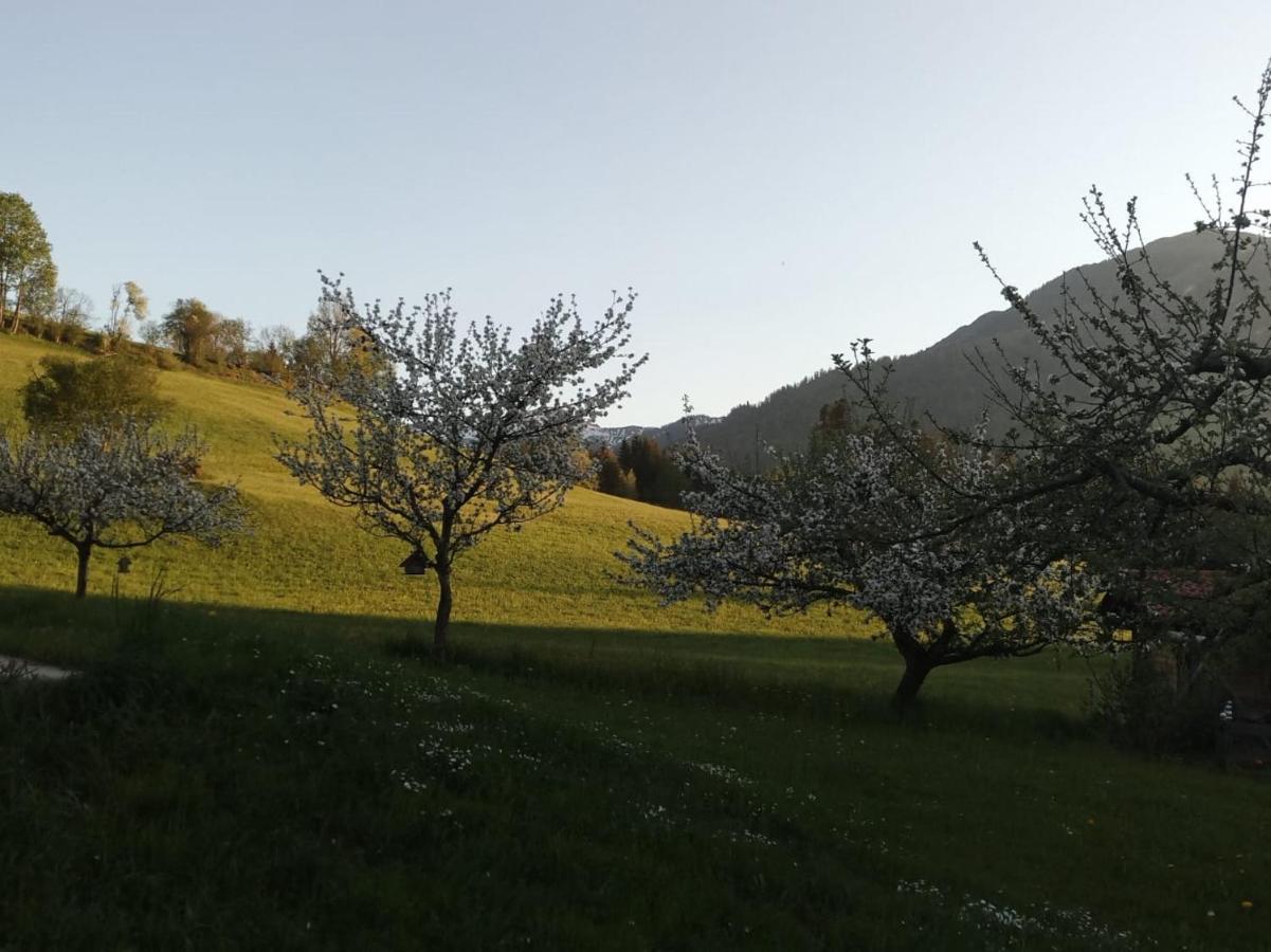 Pension Woetzinghof Kirchberg in Tirol Kültér fotó