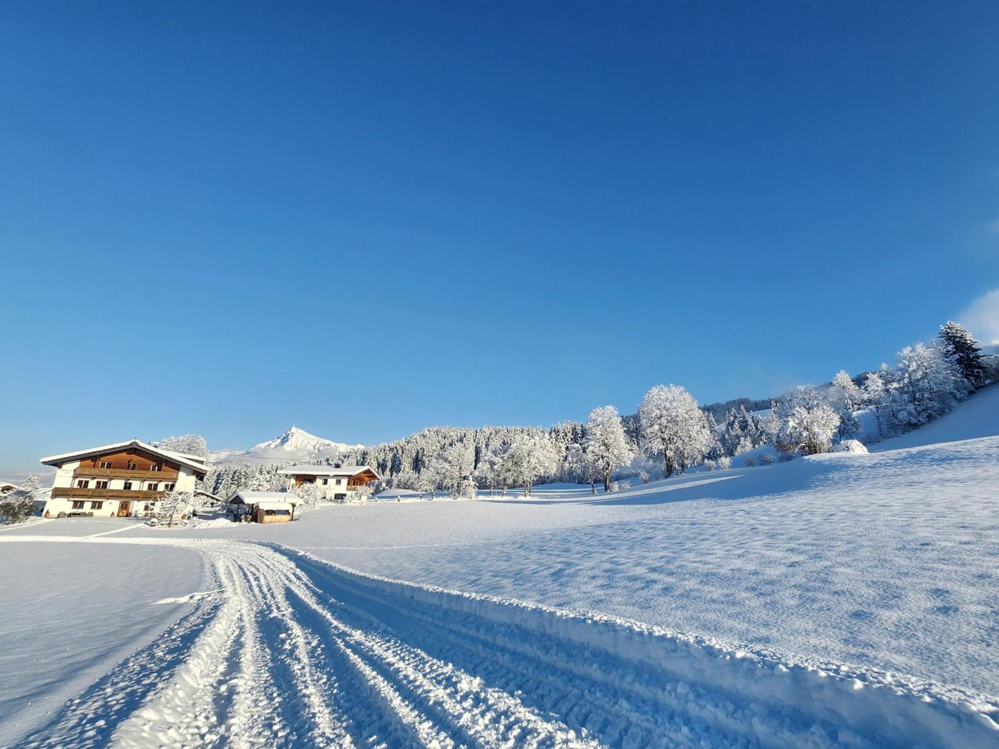 Pension Woetzinghof Kirchberg in Tirol Kültér fotó