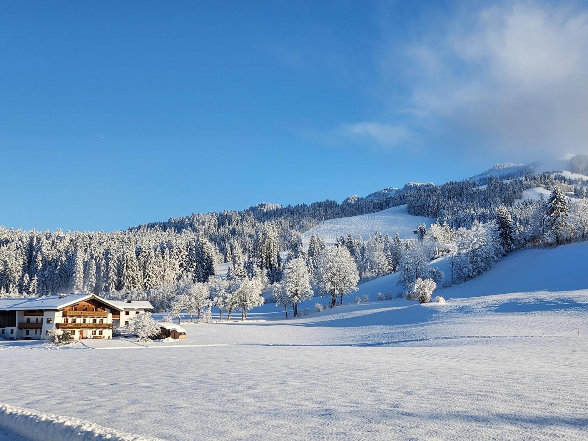 Pension Woetzinghof Kirchberg in Tirol Kültér fotó