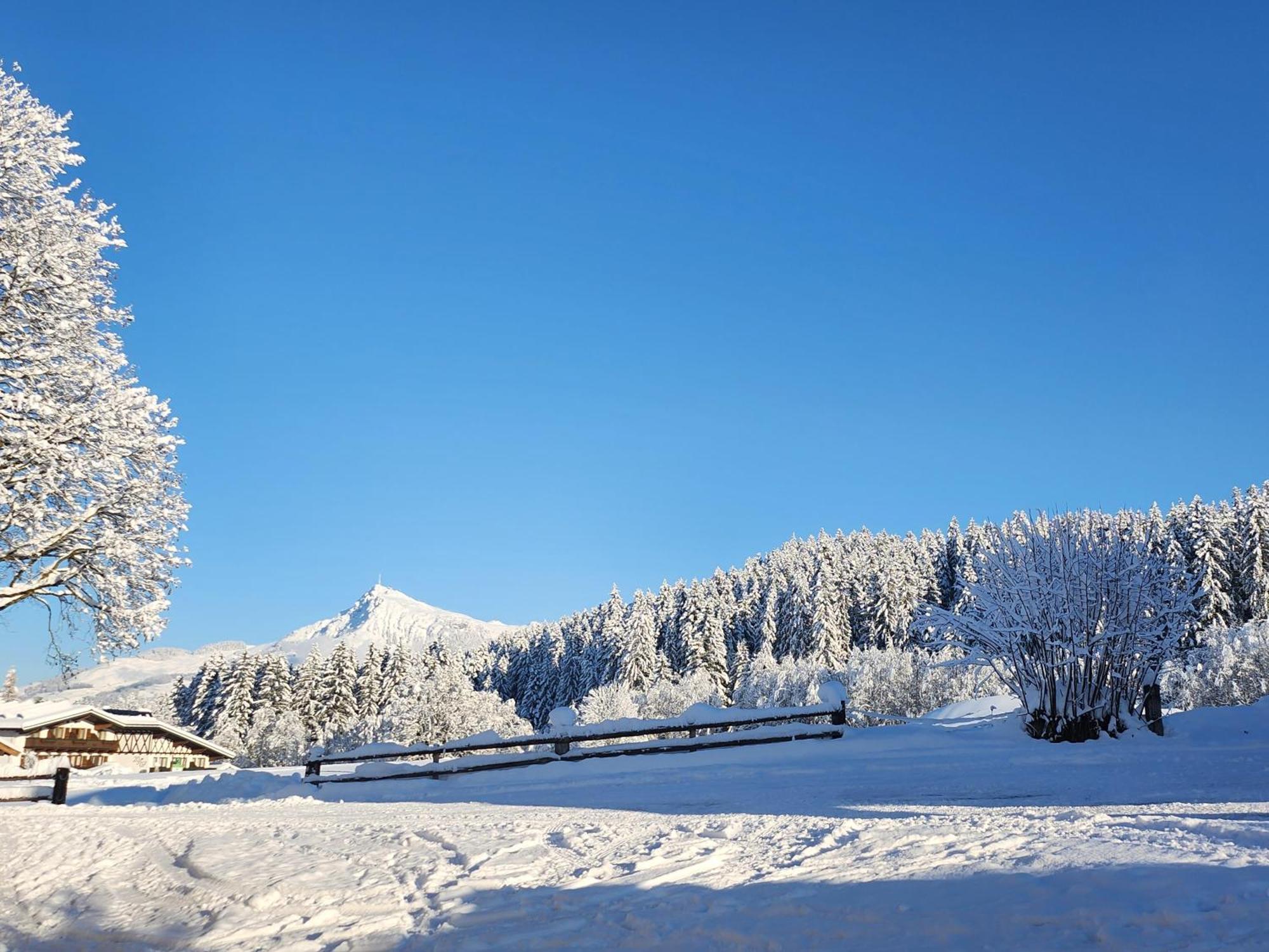 Pension Woetzinghof Kirchberg in Tirol Kültér fotó