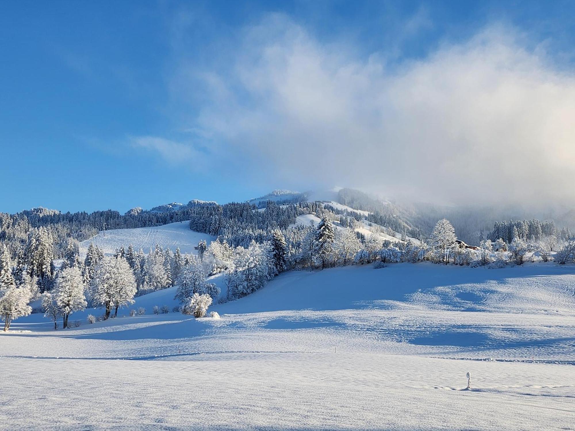 Pension Woetzinghof Kirchberg in Tirol Kültér fotó