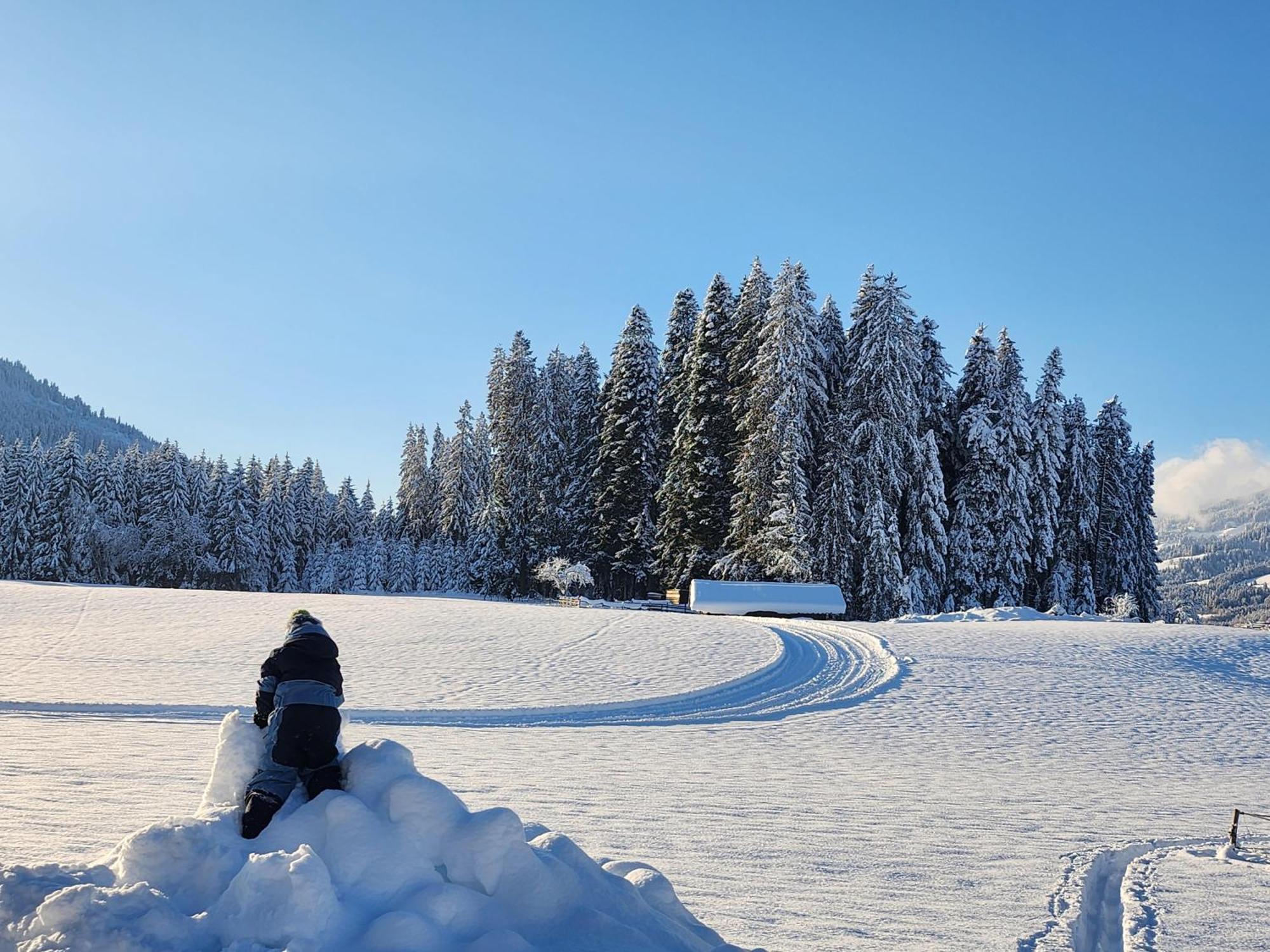 Pension Woetzinghof Kirchberg in Tirol Kültér fotó