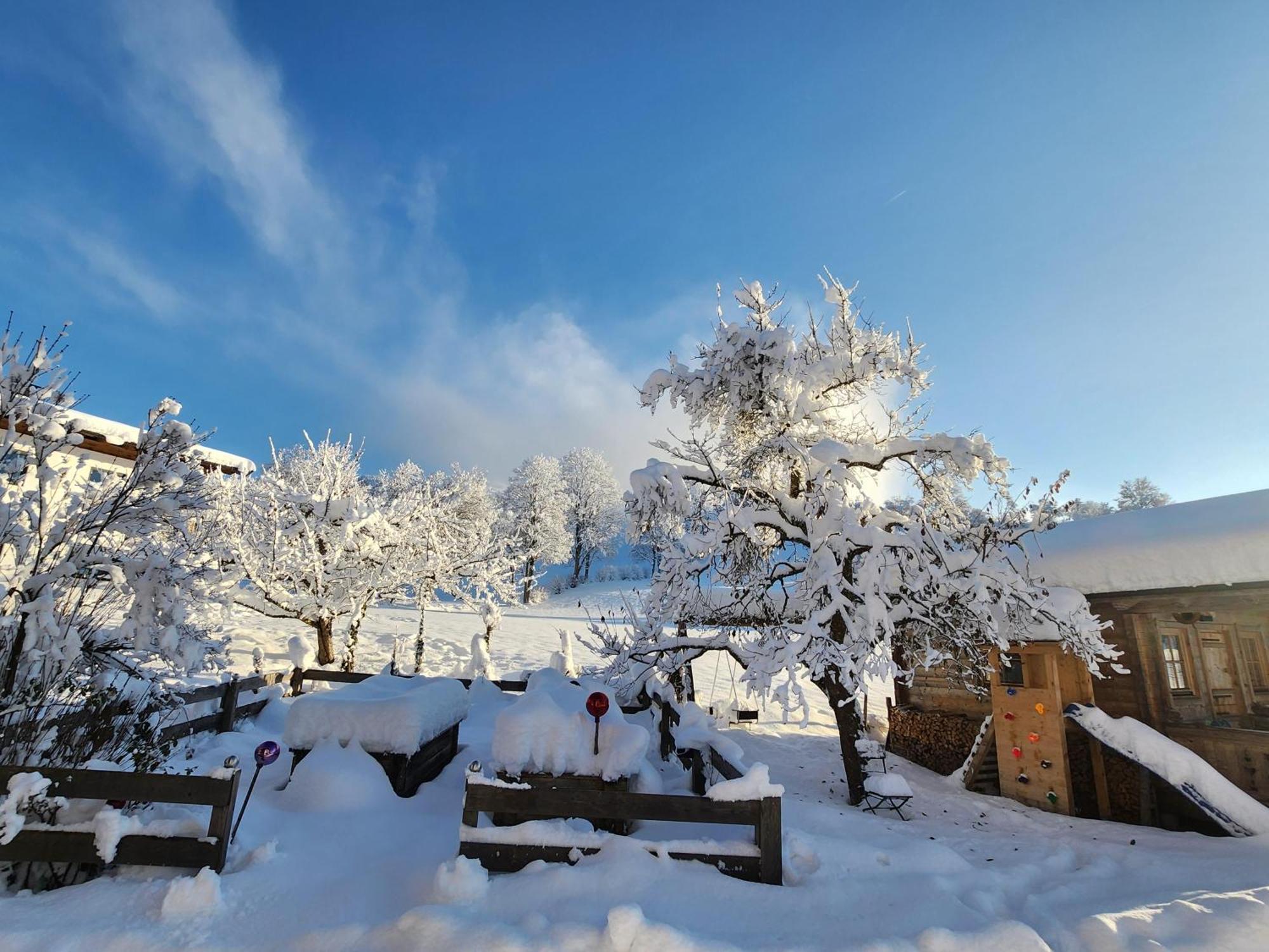 Pension Woetzinghof Kirchberg in Tirol Kültér fotó