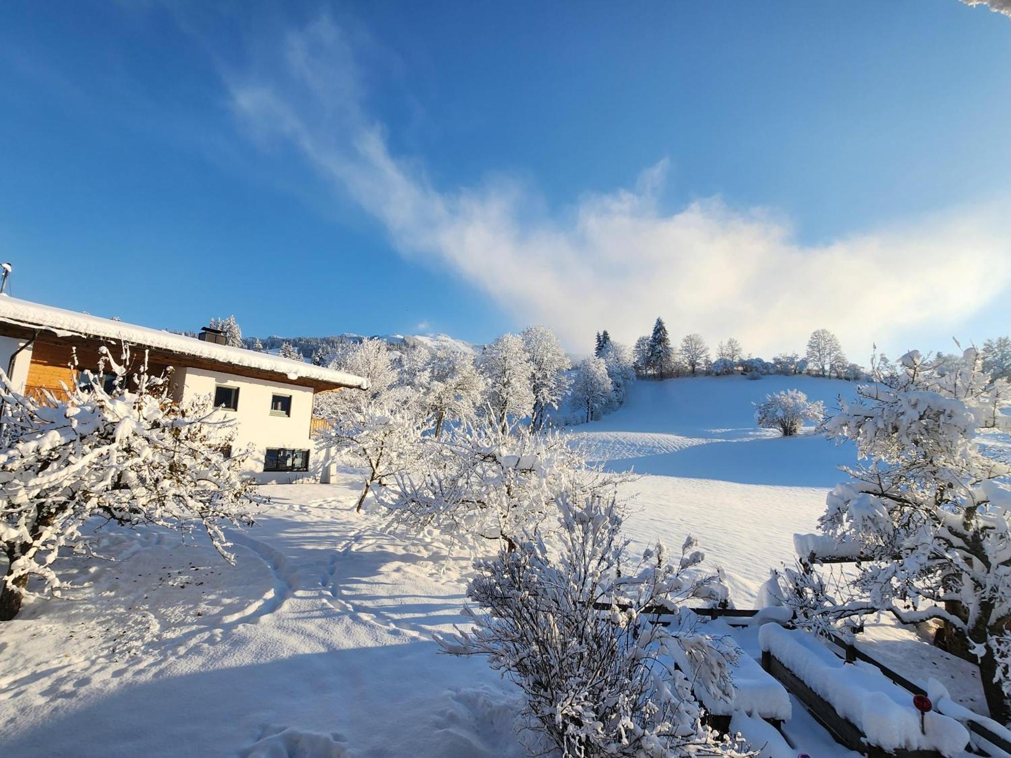 Pension Woetzinghof Kirchberg in Tirol Kültér fotó
