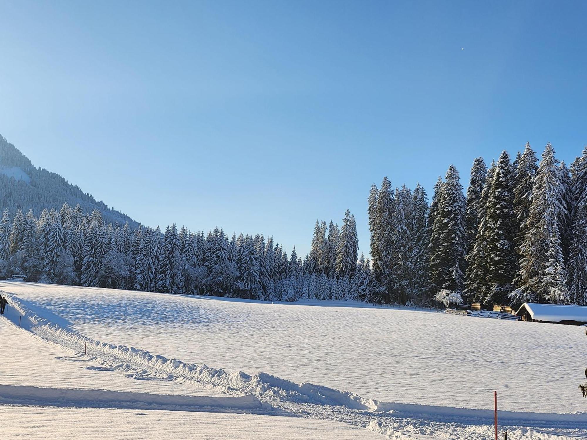 Pension Woetzinghof Kirchberg in Tirol Kültér fotó