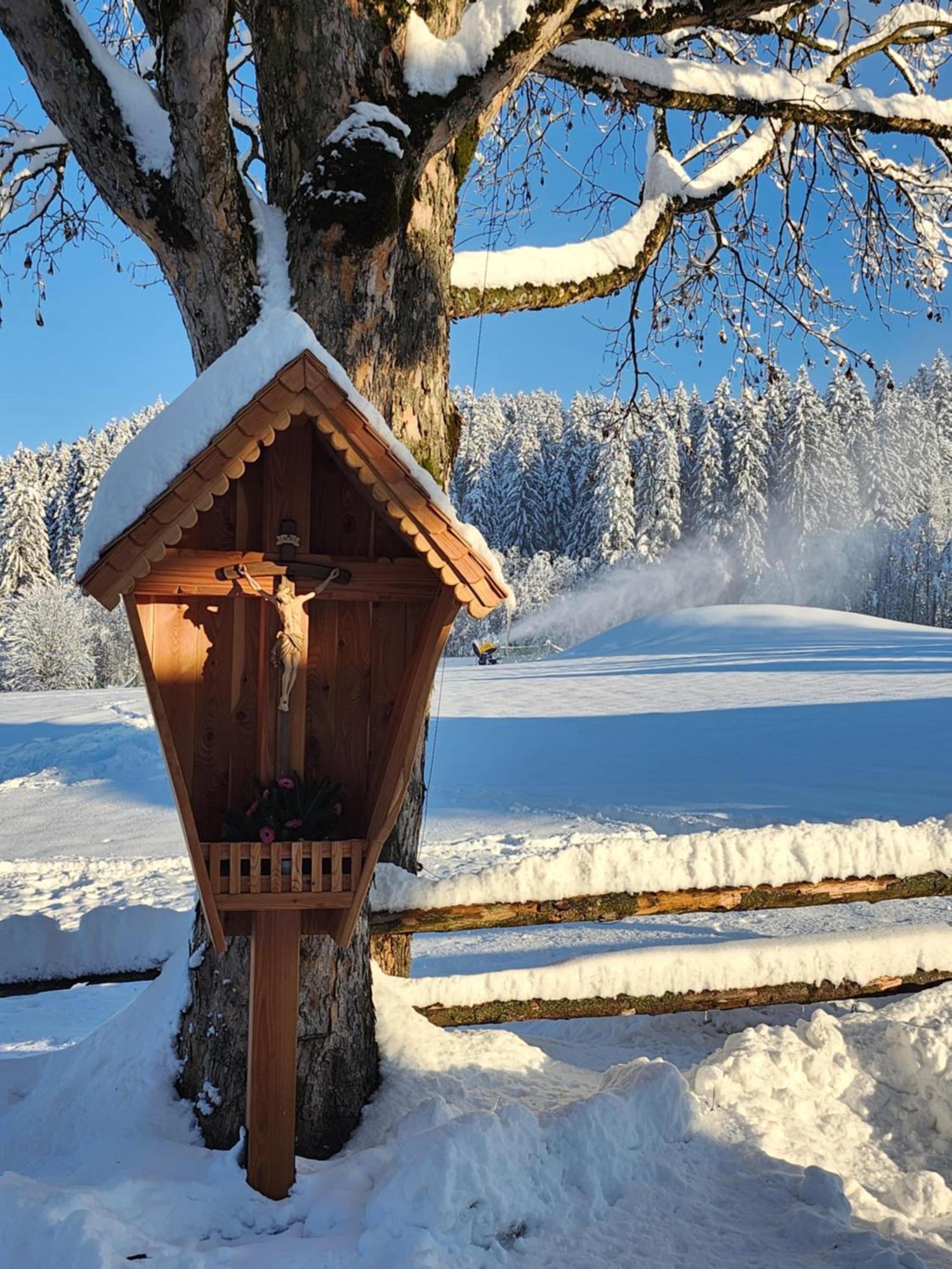 Pension Woetzinghof Kirchberg in Tirol Kültér fotó