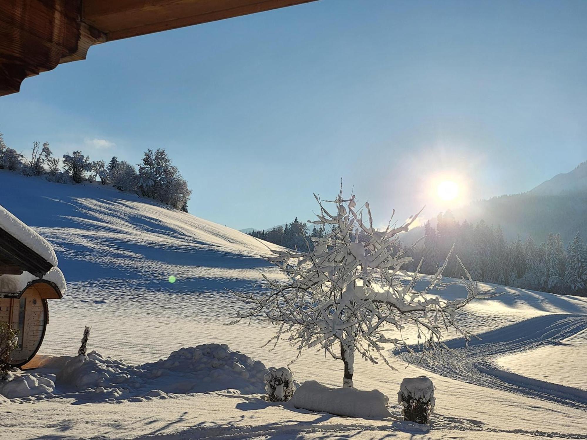 Pension Woetzinghof Kirchberg in Tirol Kültér fotó